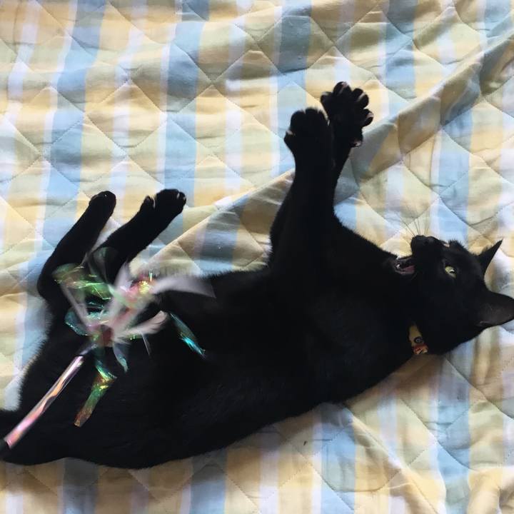 4bc91890 f9eb 473a 9be8 add2af6a5ec4