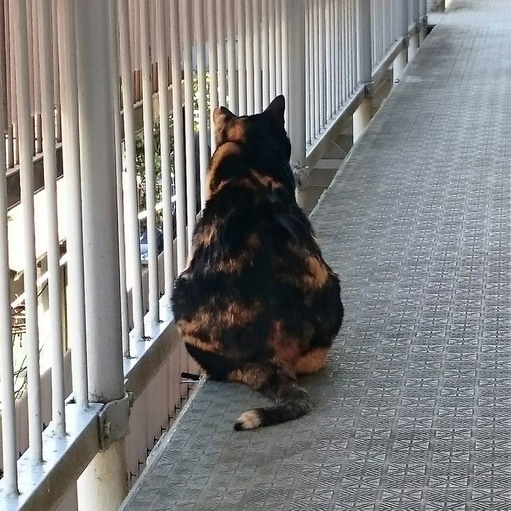 4bc940b2 827c 4811 baea bfc8ab7f345d