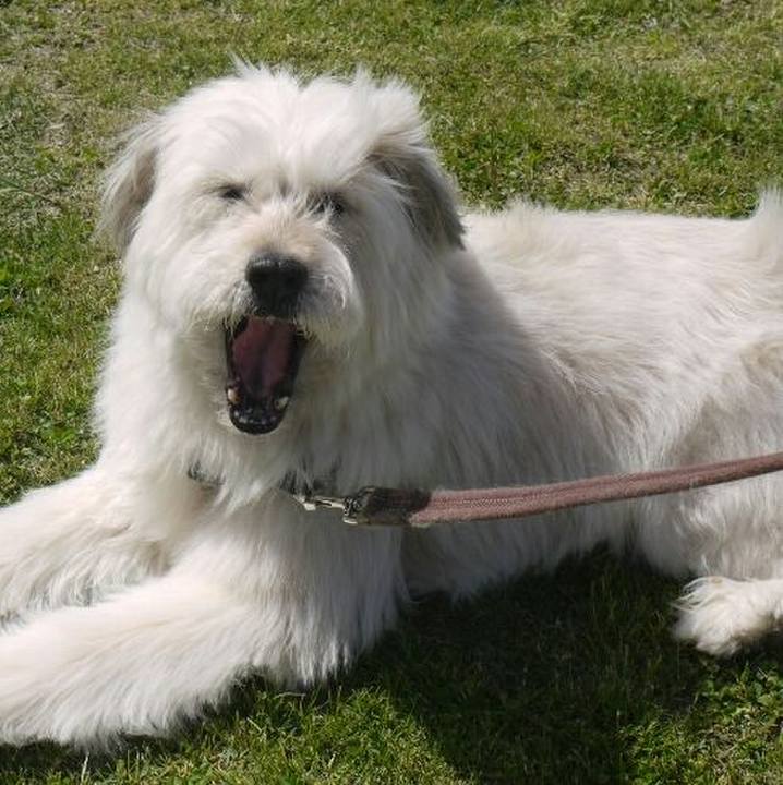 4bc98ddd cc6f 4d48 8580 979f1deefbf4