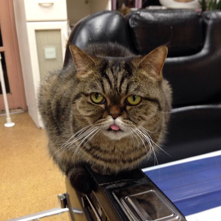 4bca118a fefa 4c23 8def dd88c821c833