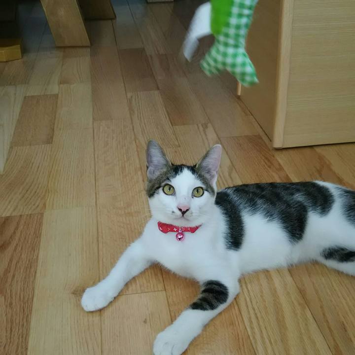 4bcabb9f 5359 42d6 b044 2b5e27e14df6