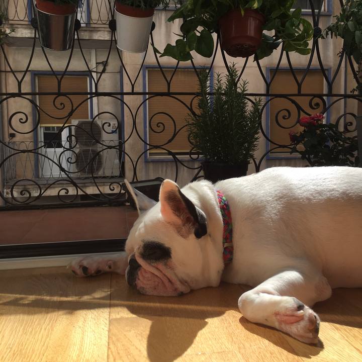 4bcb0d96 4a3d 4c72 9d6a 839a0b474544