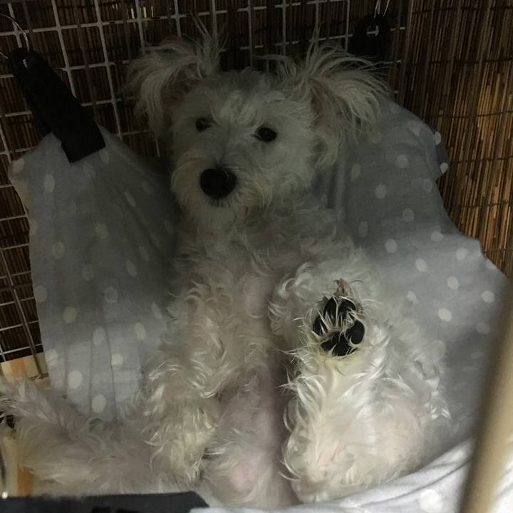 4bcb323c 7eff 4e10 94e4 516dae256420