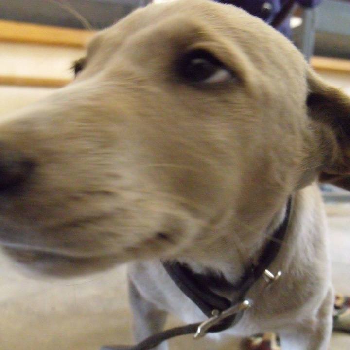 4bcbbf18 ecc8 47a4 8a08 04152b2a887c