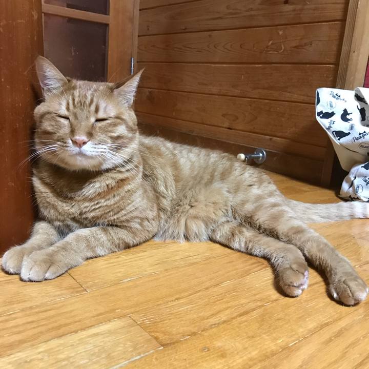 4bcc044c b86f 48ae 8ab0 bba3a0982aa9