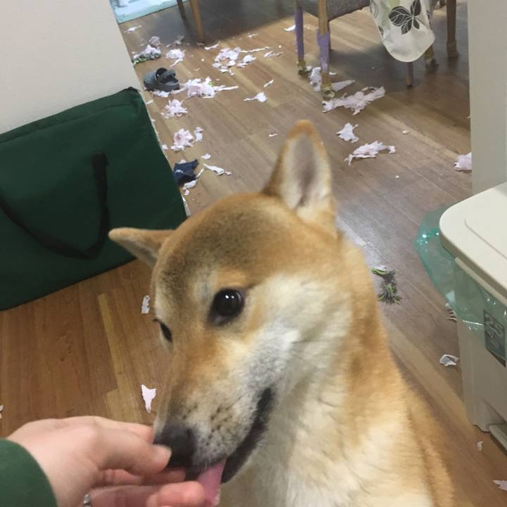 4bcc6d3e cb2b 41c3 9015 5dcd6bacfdd5