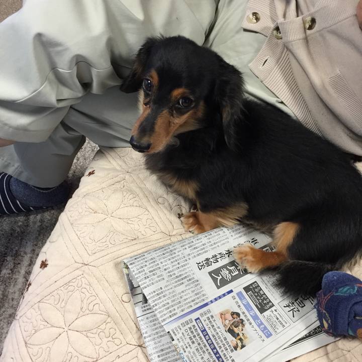 4bcc70f9 7a15 4bf9 8d7b cc341edcf6e3