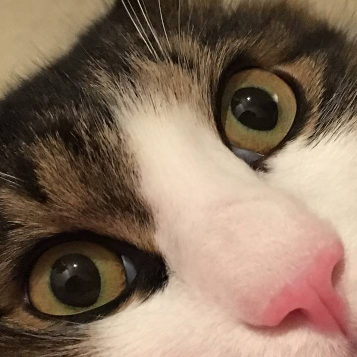 4bccd3af c34e 45d3 9330 62fedc2eb223