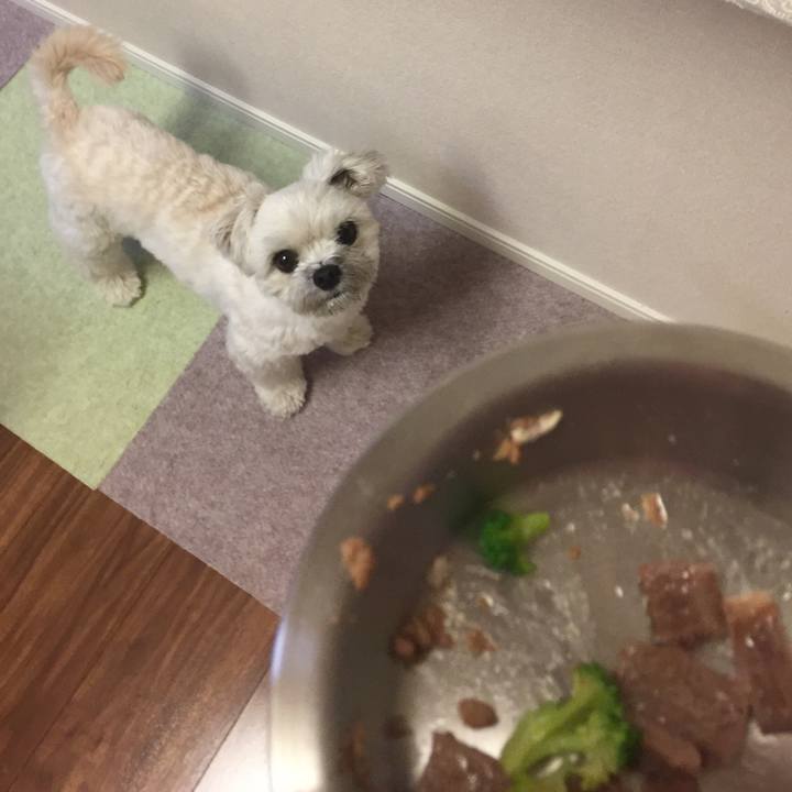 4bcd3fad a4d9 4ec0 9d87 a6e4b56a5345