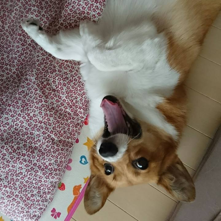 4bcd4b88 420f 49ae ad21 8d4a051d4374