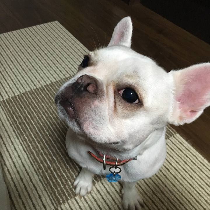 4bcd5180 4eb7 436a a3b2 82e18fcd3985