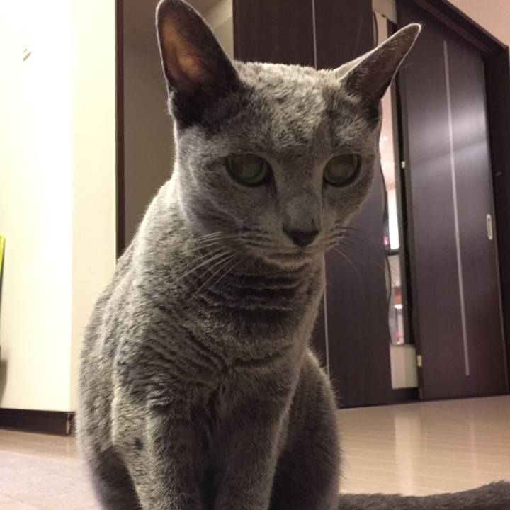 4bcd5aab e78d 4900 a7c3 ce8cc8c678d7