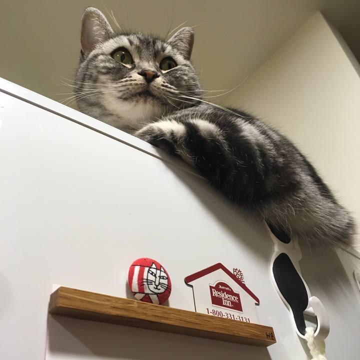 4bce24e5 0ce7 416e 81fd cf990878efa0