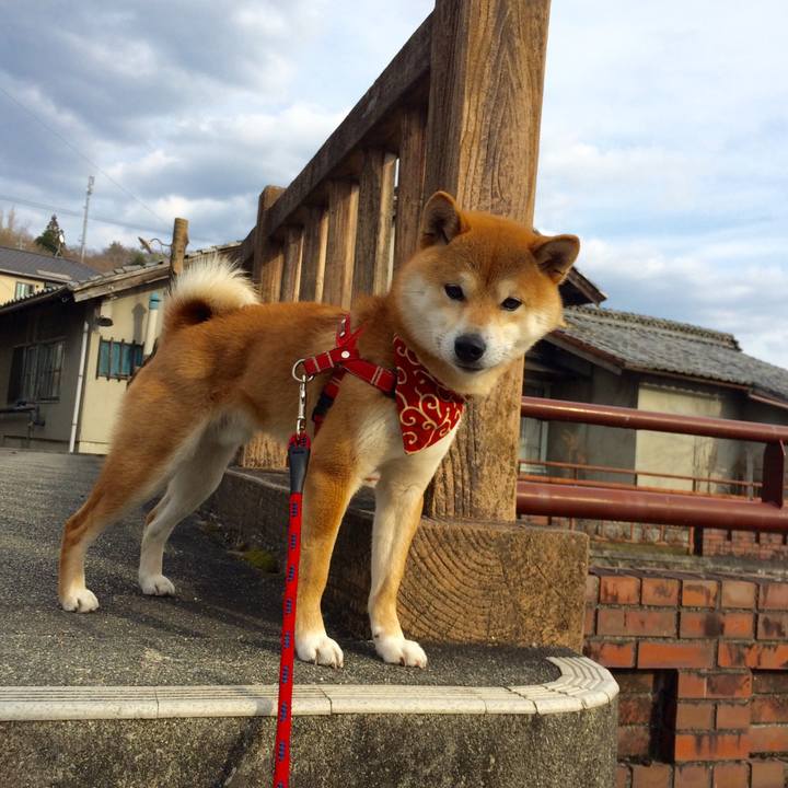 4bceb47c bac7 41e6 8325 5fdaa356d279