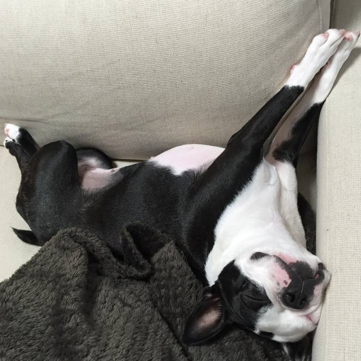 4bcf18c0 62c9 47c7 8d11 669dc9c8d6f5