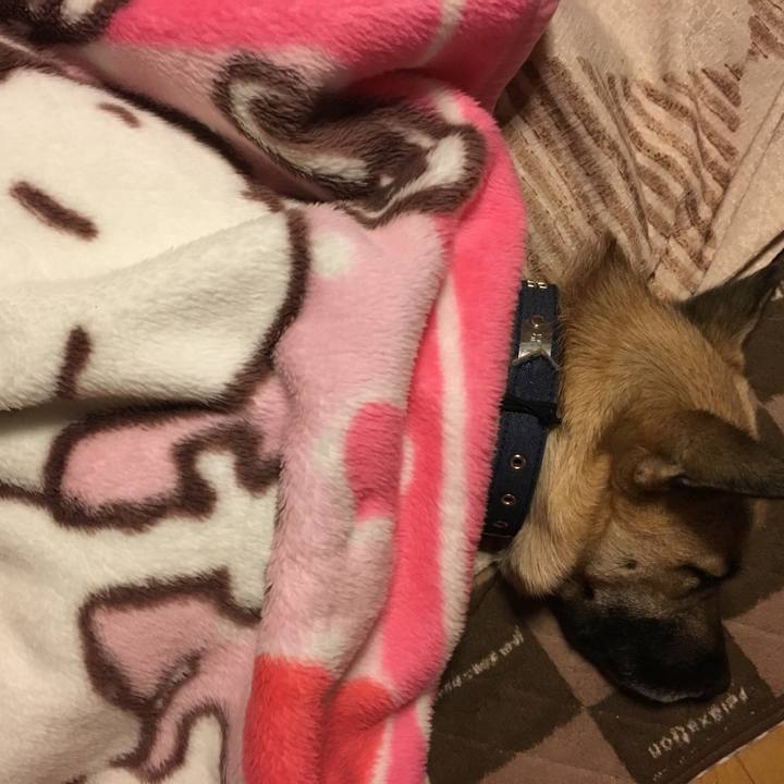 4bcf6ea5 0fba 4411 bc3b d3941874c692