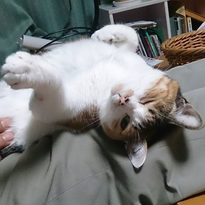 4bd0ac64 0b84 4c9b 93ca 9d81c87ec056