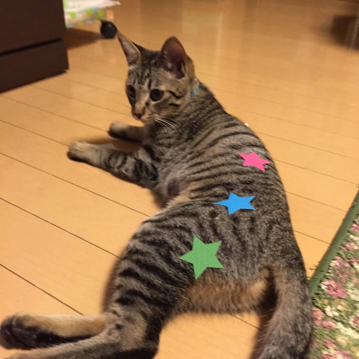 4bd0b4b8 baff 4c46 9cd8 10c1c1f5120e