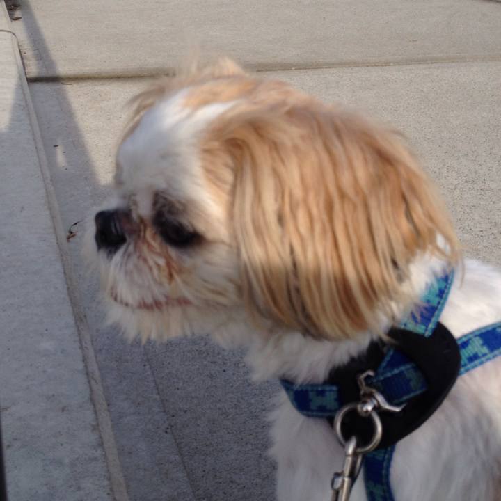 4bd0f9c6 db6e 416b a37f 0a958d3783f2