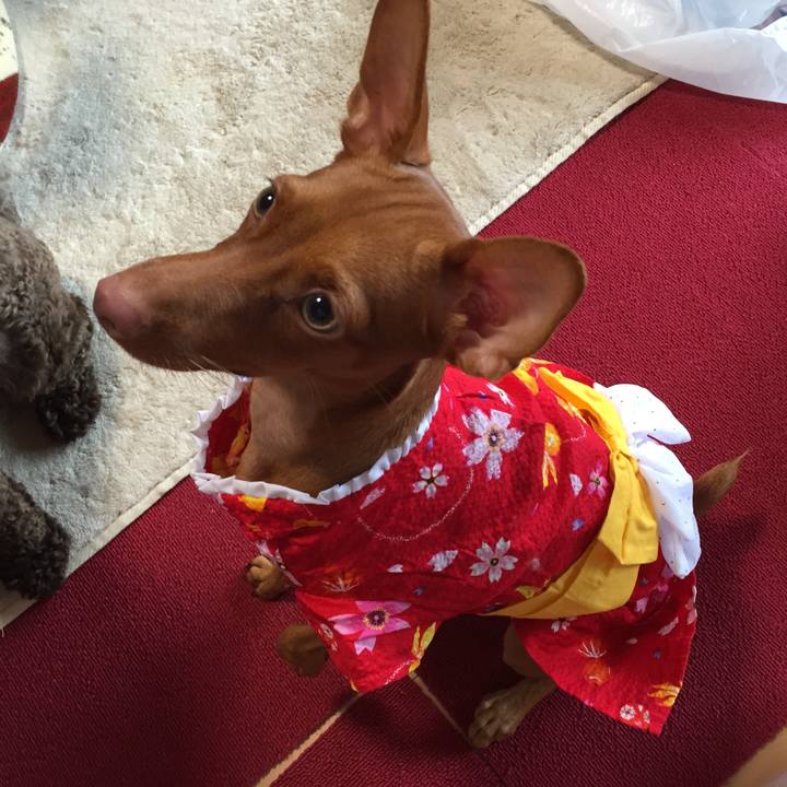 4bd1142c f378 4664 a81e 5ee92b7002f9