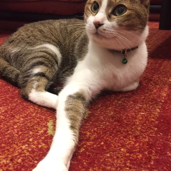 4bd16e00 0d13 4f97 bd81 1da13538b589