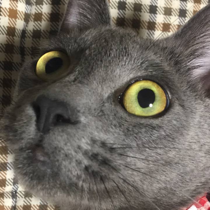 4bd1a841 9f89 436b 9d76 3cbe3bb3ac86