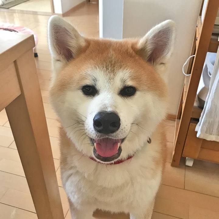 4bd1cbea ff7f 4ffc a530 f9718a595946