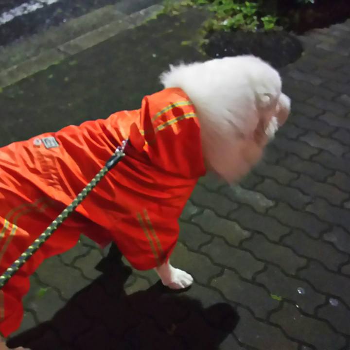 4bd27287 6520 4b06 897b d7340996ae88