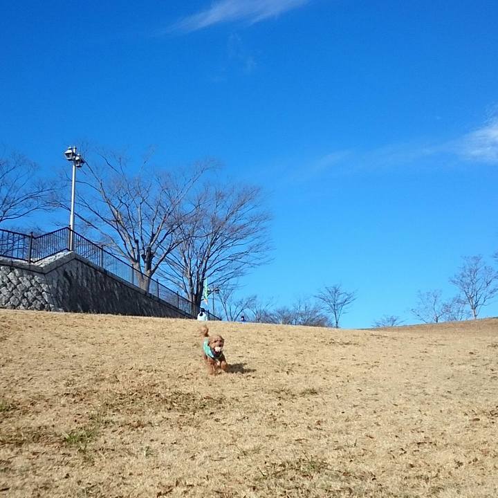 4bd27ffd 8d86 4107 9b22 d88c61712b90