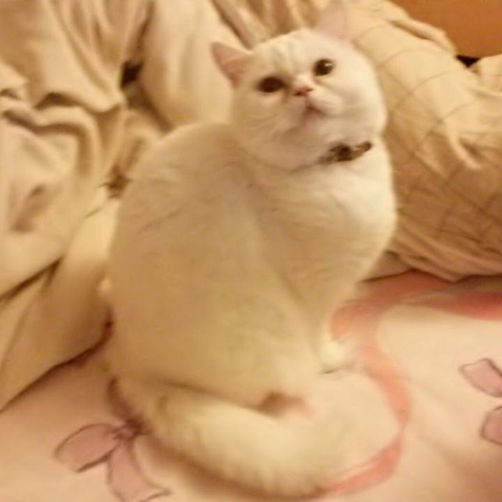 4bd2afb1 c91a 4e48 9b52 0ecc0c16d3f4