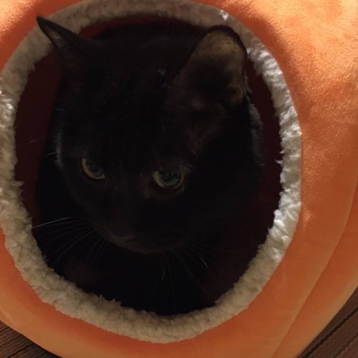 4bd2d1e9 da43 4de2 a1a6 2786adb1666e