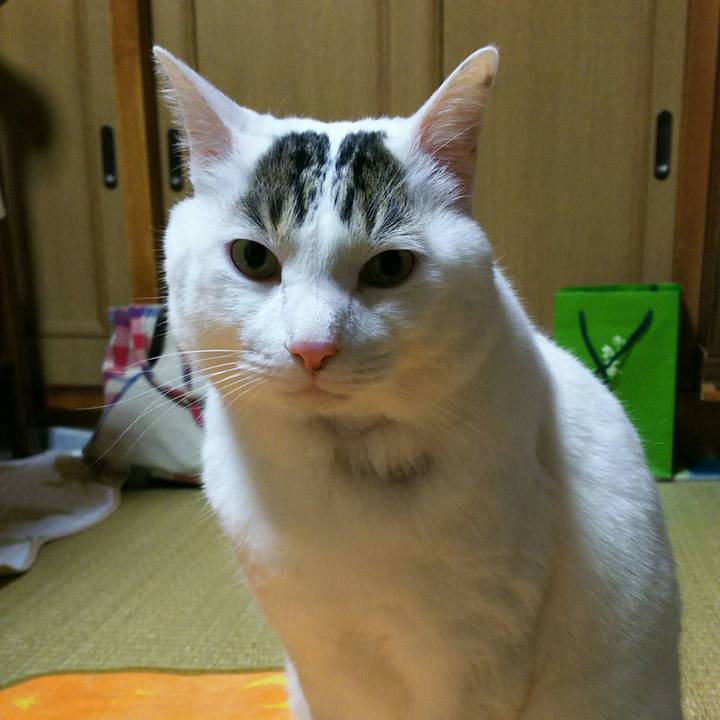 4bd37fae 1357 4bed 943a c69d2ffcfe1c