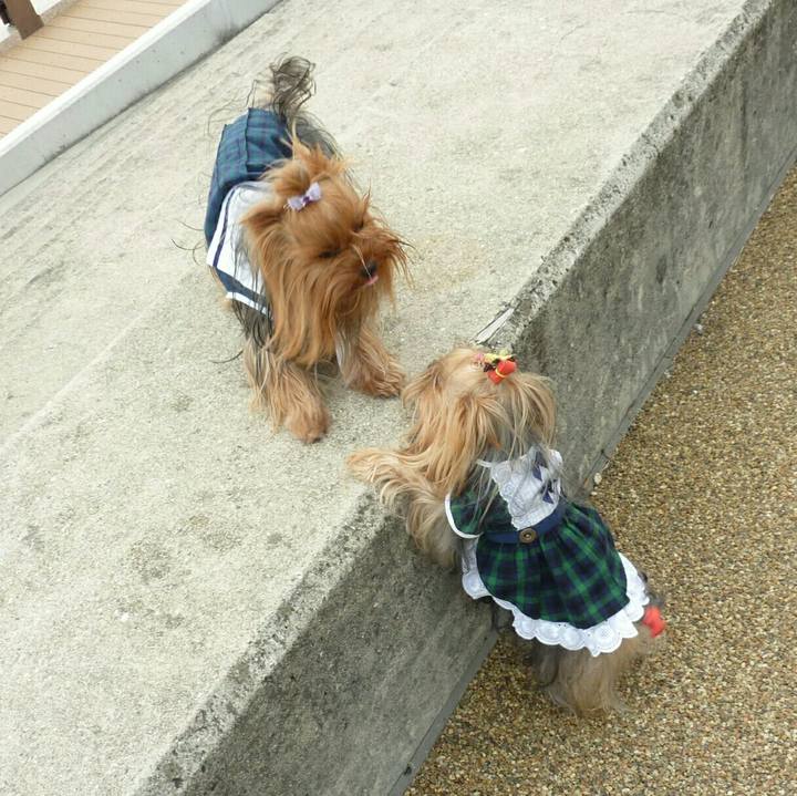 4bd3f08d 0f86 436e b19e 06e2f662ff20