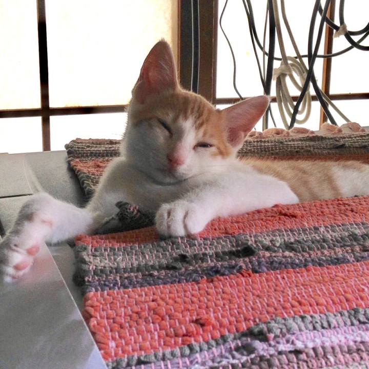 4bd40c10 e036 463d 8efd 7688701681a3