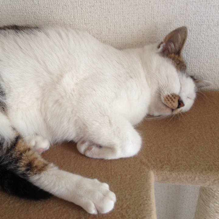 4bd472b7 5174 49f2 ac37 ae6fa3b33f3f