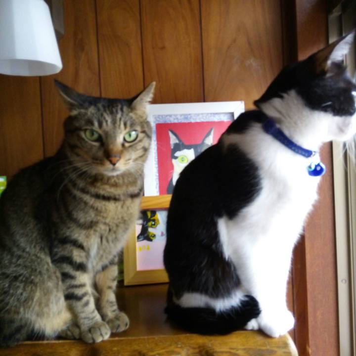 4bd48d87 dd9e 479a a389 b7702dd6f0b7