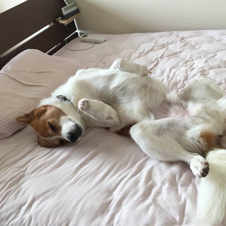 4bd4ba0a 6426 4f06 97b4 ae597cd89006