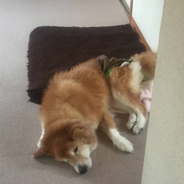 4bd54d84 1454 47e4 a187 0fe379e91a34