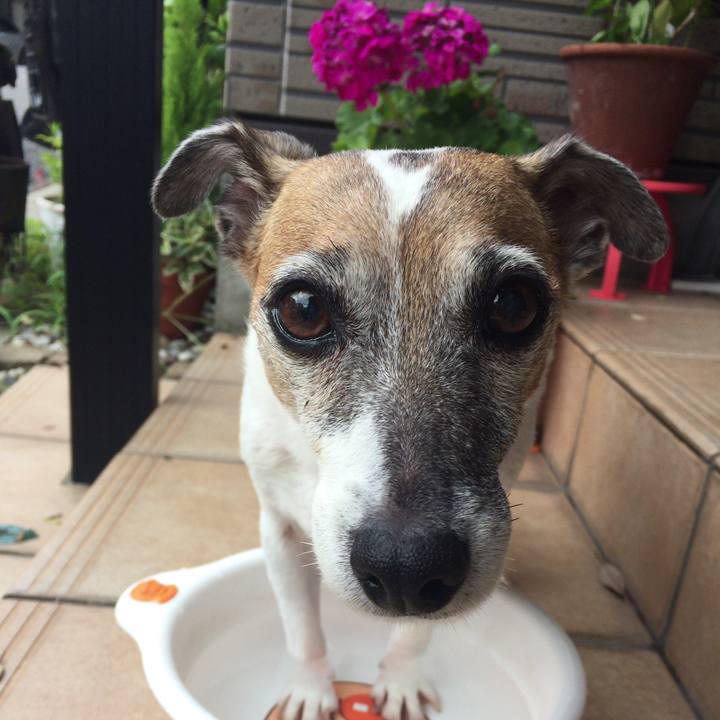 4bd575f9 1094 4494 a965 b4569b638678