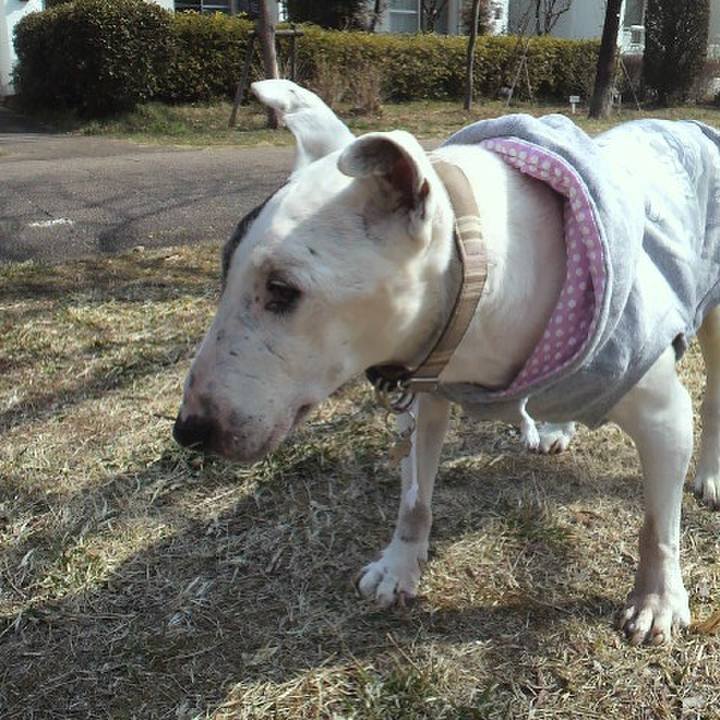 4bd60006 87bd 40f5 a6c9 e3edfbcc3129