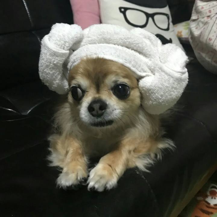 4bd638b5 5764 40ba b318 76471ff69ad8