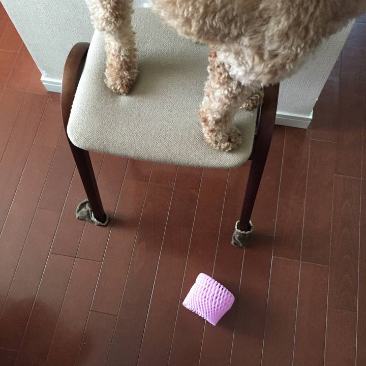 4bd6aa31 1e05 4032 b5fe b138cbf6721d