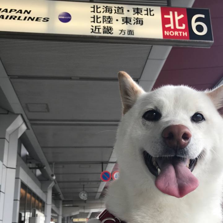 4bd7603c 9a8d 4e63 8756 f878554ec31f