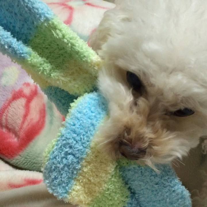 4bd8353e 2e4c 4ed0 95ab dc616ad7e5d6