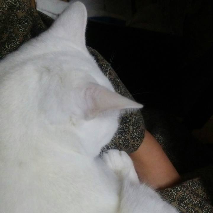 4bd8e75d 8630 48dc 832f 1e256c71fdfa