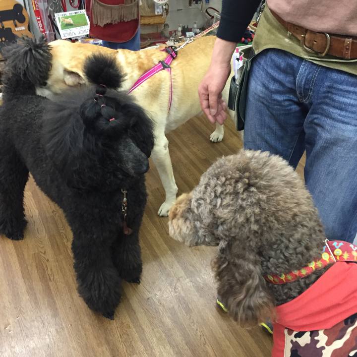 4bdb4d6b a0bb 435b a062 99c7a9fe142b