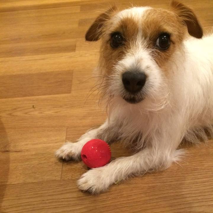 4bdc3a3c bfd2 4579 afda 72c24f88825e