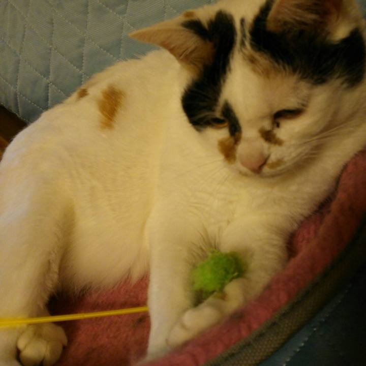 4bdceee2 88ae 46a8 b27b 5bbc1942e606