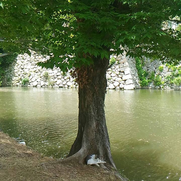 4bdd2778 6d6b 492b 892a 92a0e6ea8479