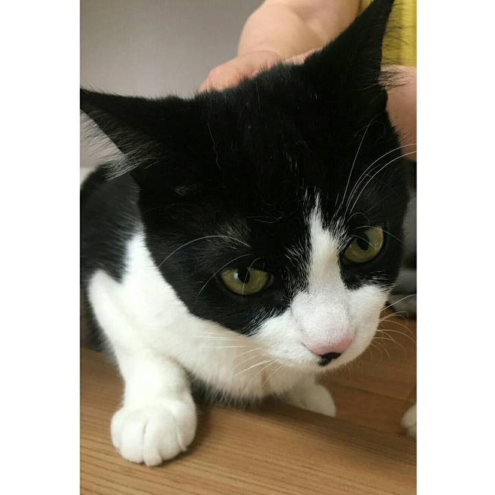 4bdd68fd 9b4c 4d2a b93e b44b7567d4ba